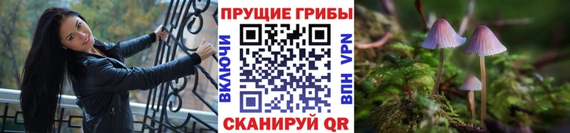 Псилоцибиновые грибы мухоморы что такое Рыльск